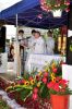 Filename=_DSC0034.jpg
Filesize=96KB
Dimensions=510x768
Date added=Oct 03, 2016 _DSC0034.jpg