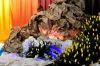 Filename=_DSC0044.jpg
Filesize=91KB
Dimensions=800x533
Date added=Oct 03, 2016 _DSC0044.jpg